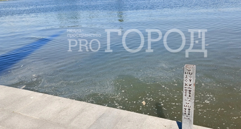 Почему пензенцы так не любят главную реку в регионе: специалисты нашли в водоеме нефтепродукты, медь и нитриты