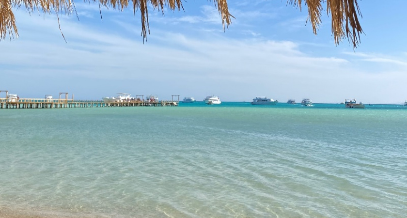 Вернулся бы хоть 100 раз: нашел самое лучшее место в Абхазии - только вам по секрету