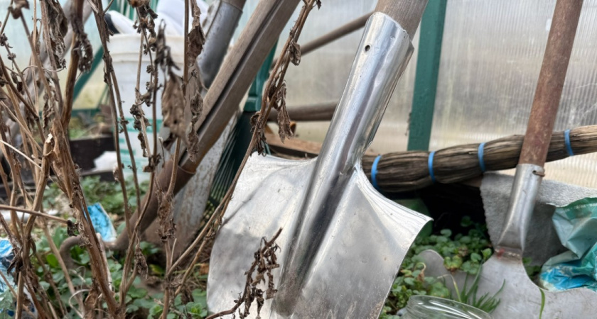 Росгвардейцы задержали 21-летнего пензенца, разбившего дверь магазина черенком лопаты