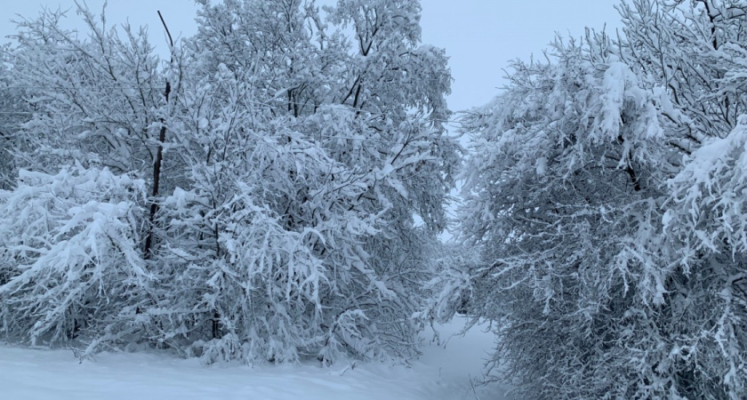 В Пензенской области 4 февраля отменены занятия для школьников и студентов колледжей из-за морозов