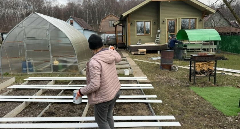 Пачка овсянки заменила 25 кг навоза: почва уже не будет прежней - соседи хотят также 