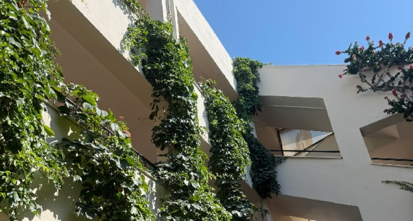 Злые люди, змеи, грязь и ужасная еда: честный отзыв туристов об отдыхе в Абхазии - разочаровало многое 