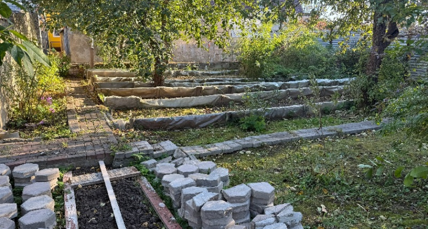 После стирки воду не сливаю - несу сразу на грядки: вот, чем она полезна 