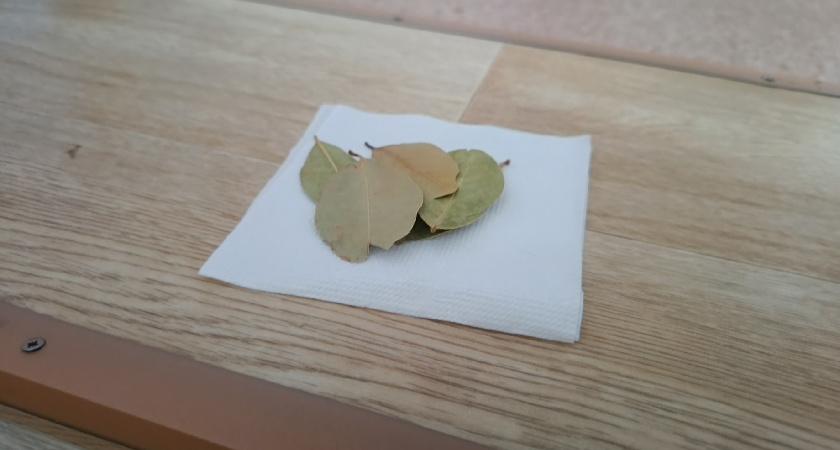 Вы не едите, а стоит: эта простая специя помогает суставам 