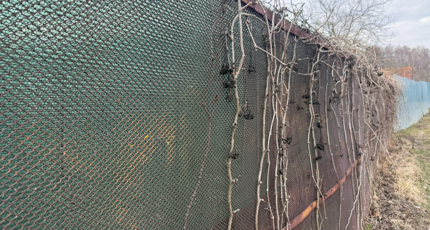 Заборы из профлиста больше не в моде: турки придумали лучшую ограду между соседями - не заслоняет солнце, продувается, ничего не видно