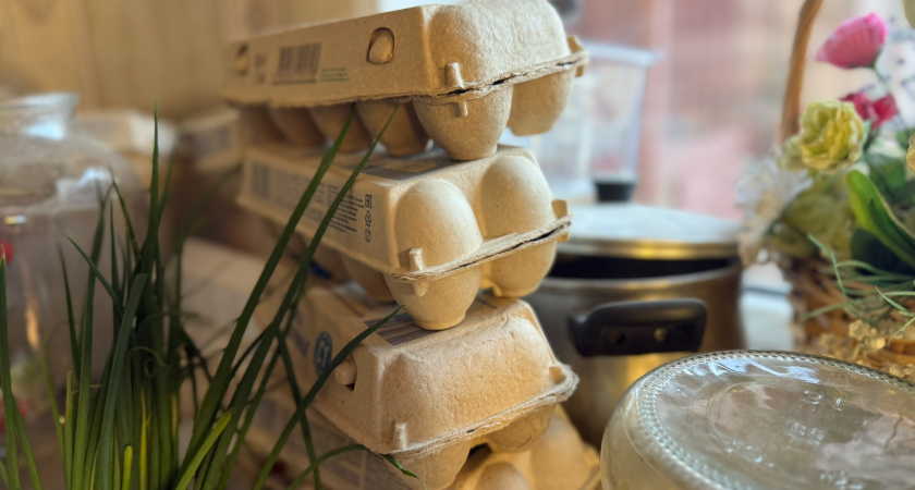 Додумалась применить скорлупу от яиц С0: расселила всю рассаду по одноразовым "домам" - корешки при пересадке не пострадают