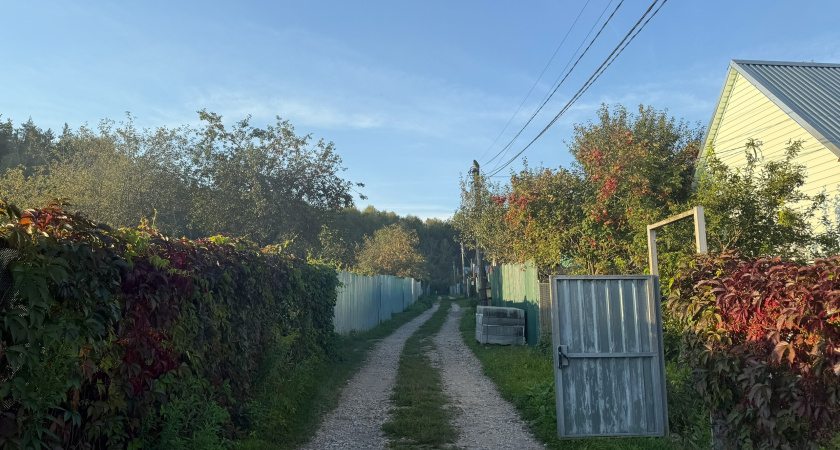 Вышли на пенсию и переехали жить в деревню: в первый месяц поняли чем тут живут местные - старожилы такое не расскажут