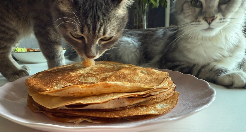 От блинов к куличам: точные даты Масленицы и Пасхи в 2026 году - когда нужно начинать готовится к праздникам 