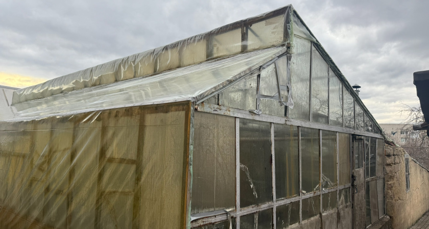 3 банальных ошибки всех садоводов и дачников: из-за них поликарбонат на теплице разрушается за три года