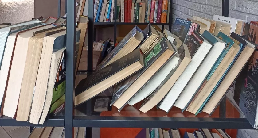 В 2026 году в области хотят создать три модельные библиотеки