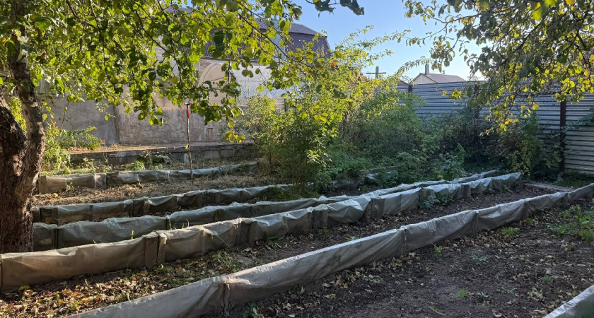 Старик уронил компот на грядку и ахунл: сорняки исчезли за раз - рецепта проще не бывает