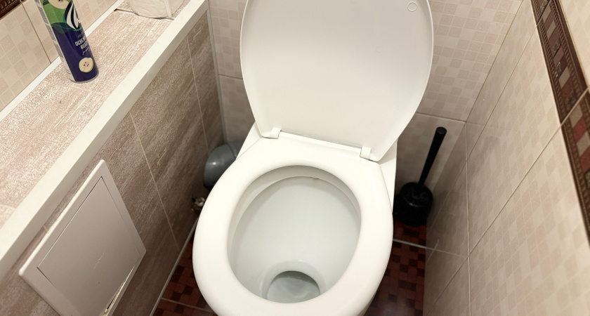 Чтобы в вашем туалете всегда хорошо пахло свежестью: простой лайфхак с втулкой - сработает лучше аэрозолей