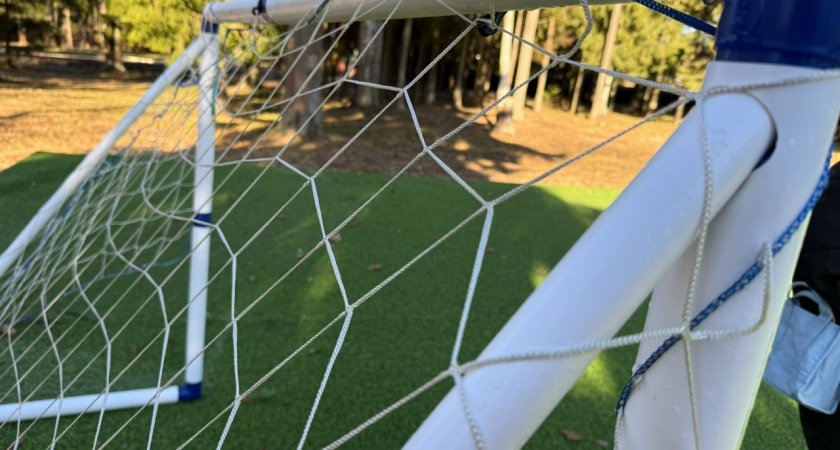 Пензенцы возмущаются из-за футбольного поля