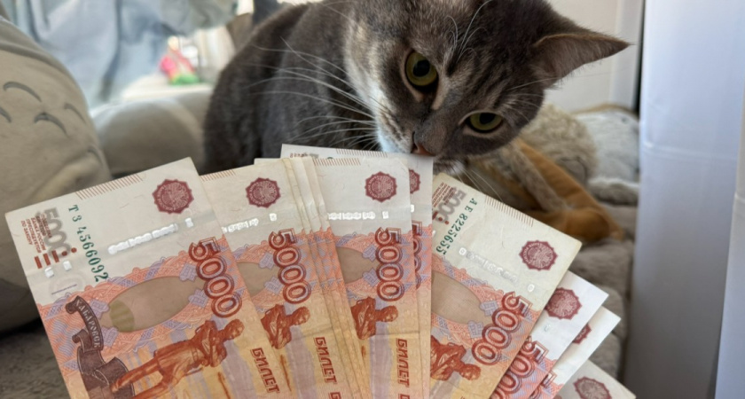 В Пензенской области родители-студенты могут получить 200 тыс. рублей при рождении ребенка