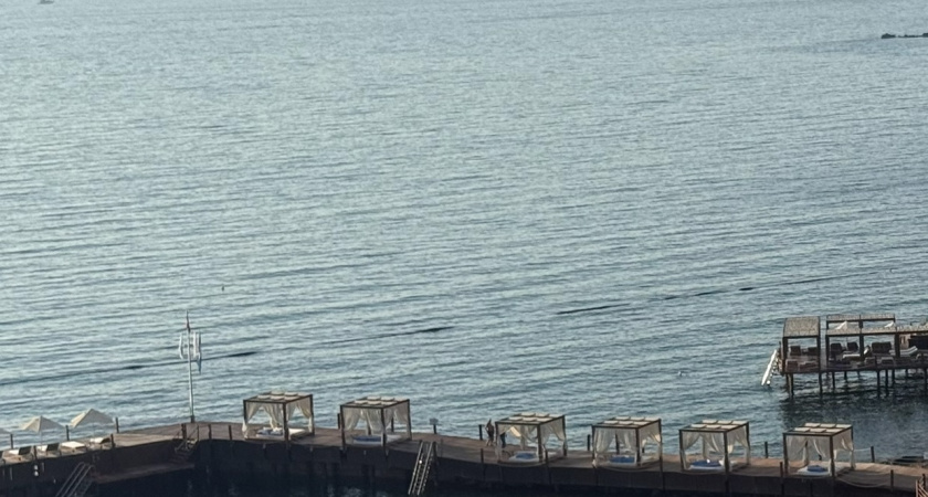 "Не турист, а кошелек с деньгами!" Путешественница поделилась историей худшего отдыха в Абхазии