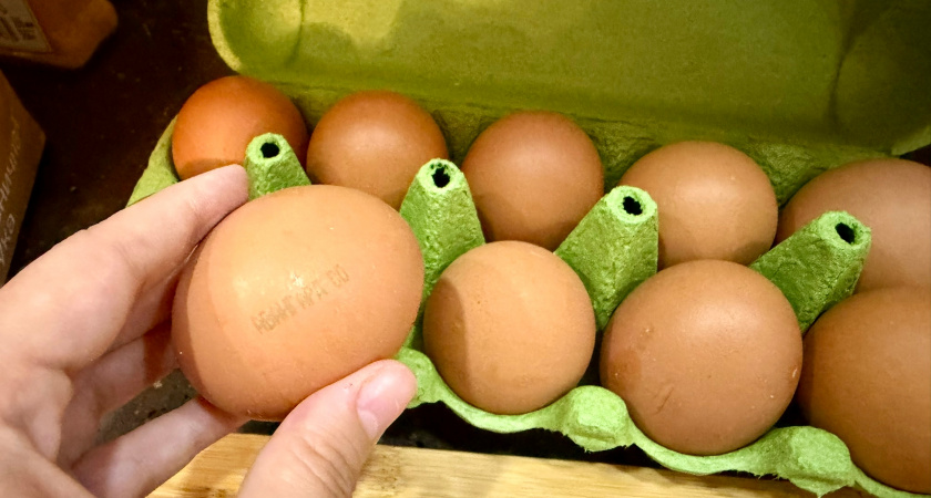 Вот почему работники магазинов и птицефабрик никогда не покупают эти яйца: не берите даже со скидкой