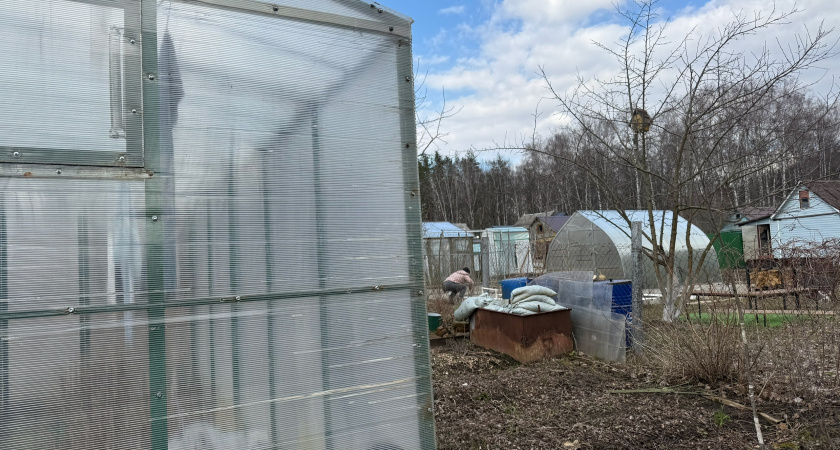 Зимняя отапливаемая теплица: сели и посчитали - во сколько она нам обошлась. Честно про мои ошибки и успехи