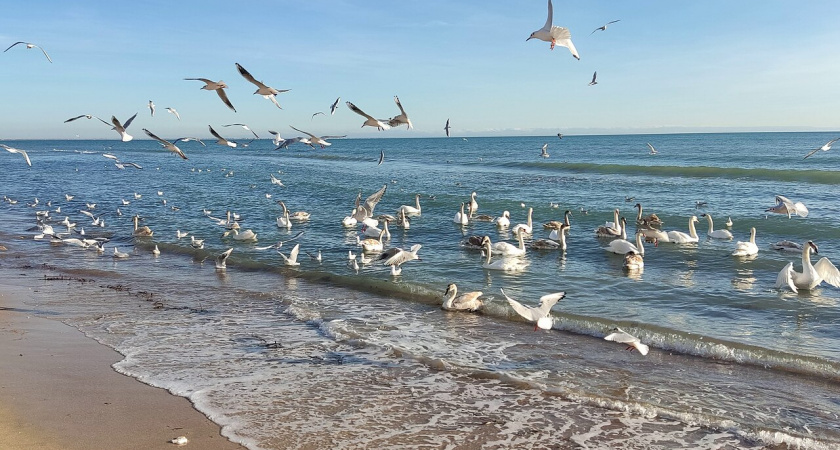 Какой город Крыма лучше для жизни зимой? 3 места на полуострове, где жизнь кипит даже в феврале