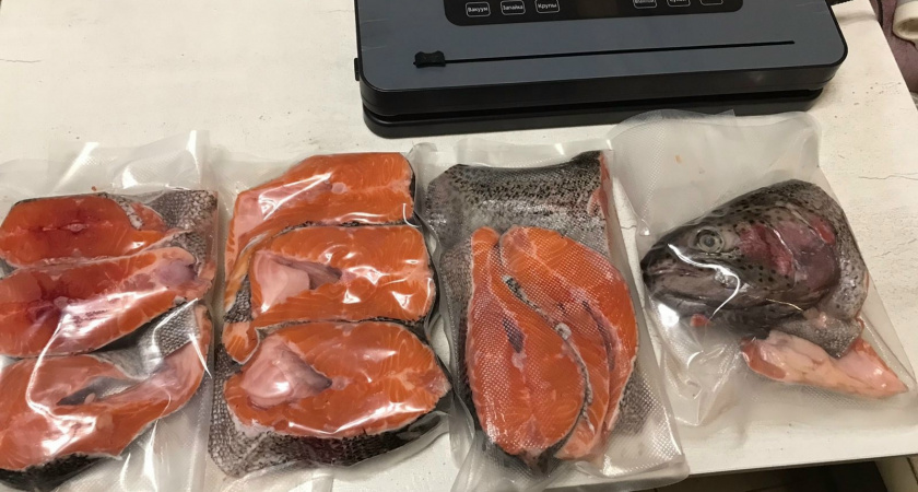 6 видов рыбы, которые всегда продаются в магазинах без голов: покупателям об этом никогда не расскажут