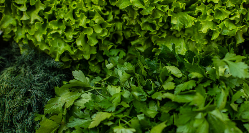 Эксперты назвали самую полезную зелень: добавляйте её почти во всё, что едите — витаминов вагон