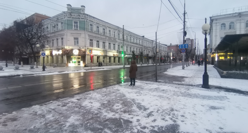 «Наблюдались судороги, потеря координации»: в центре Пензы собаку ударило током