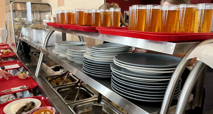 В школах Пензенской области выявили нарушения организации питания детей