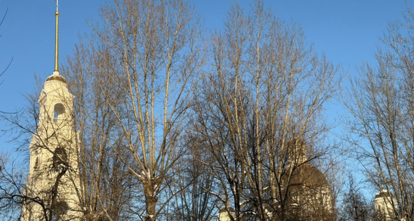 Территориальные ЗАГСы Пензенской области будут закрыты на день из-за красивой даты