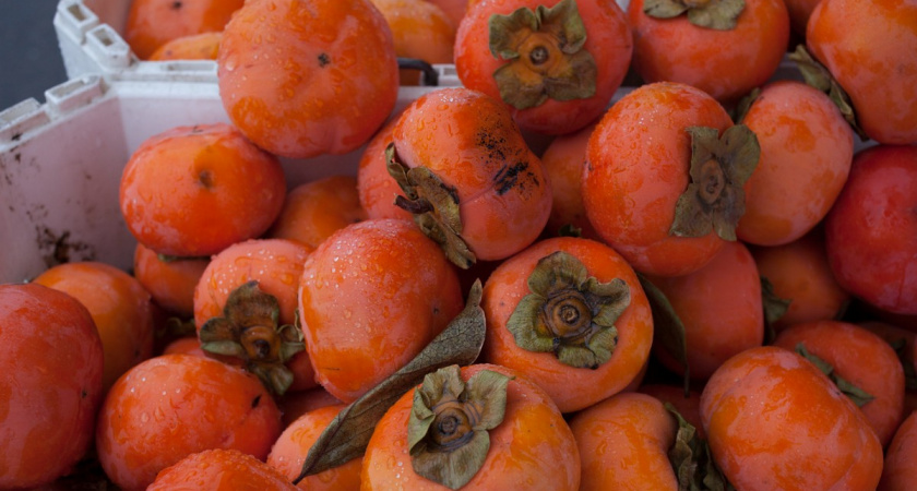 Съездила на сбор хурмы в Абхазию: рассказываю сколько смогла заработать и какой ценой - честный отзыв трудоголика