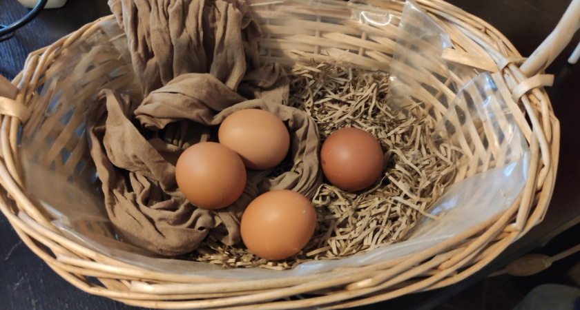 Яйца на Пасху крашу не как все: беру капроновый чулок и зелень - соседей зависть берет от такой красоты