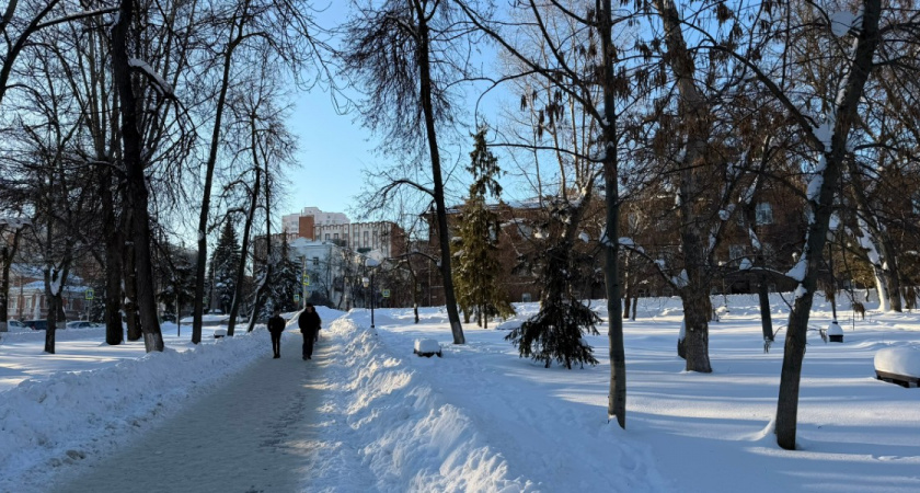 В Пензенской области преступная группа была поймана на организации незаконной миграции