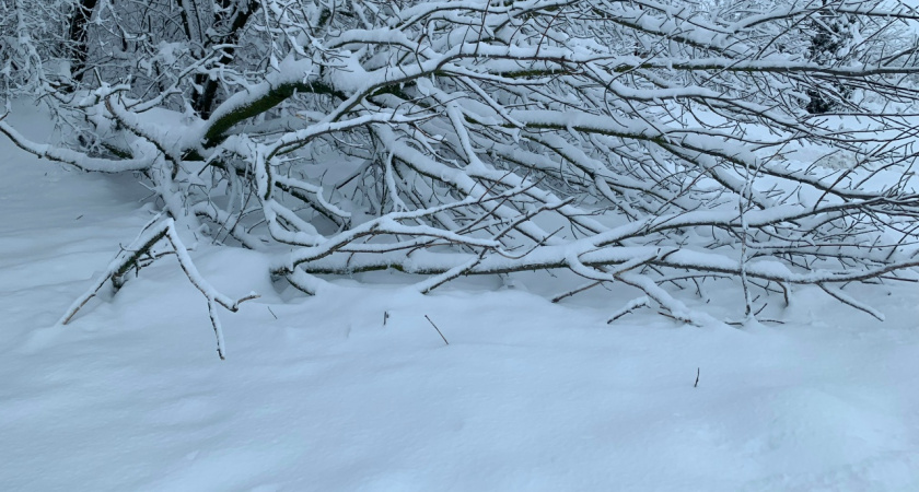 Пензенцы жалуются на заваленный снегом сквер