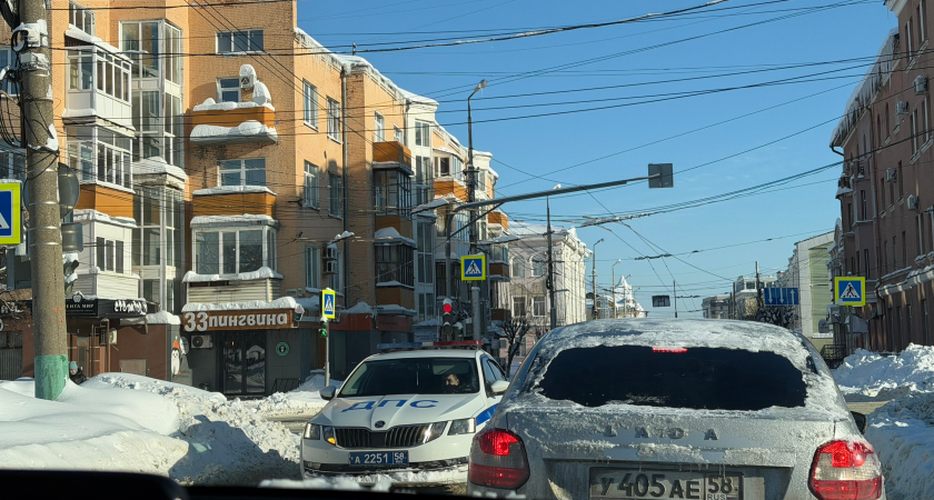 УЖКХ: опасный участок дороги, где током ударило собаку, проверят специалисты 