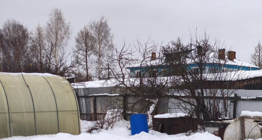 Расставила кружки по теплице: рассада томатов больше не сохнет и не вянет — все кусты растут «богатырями»