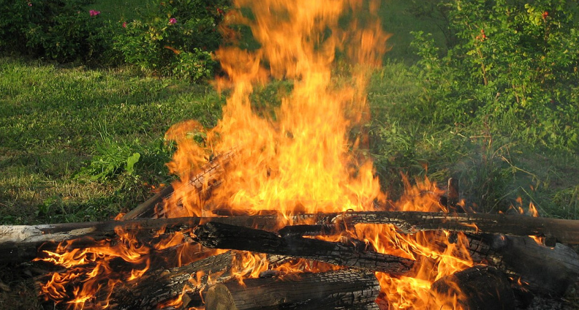 Сосед жжёт листву у забора: почему это незаконно и как правильно сжигать мусор на участке — без дыма, скандалов и штрафов