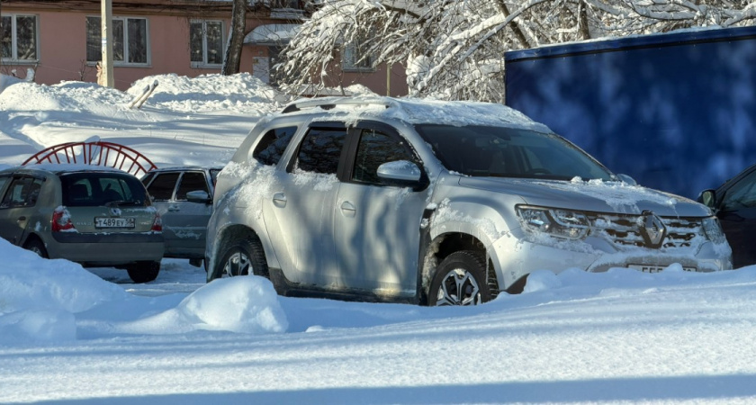 Наказание пензячки, автомобиль которой перекрыл проезд к мусорному контейнеру, не изменили