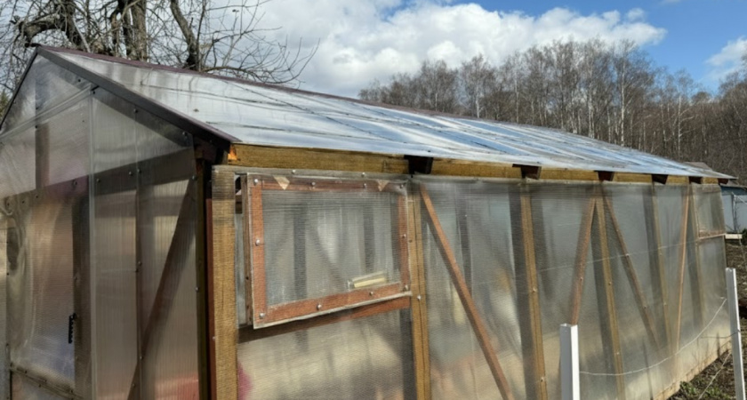 Грунт в теплице прогреется без электричества за неделю: простой способ с пластиковыми бутылками