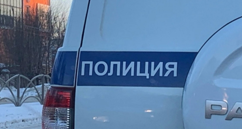 Житель Никольского района ударил сожителя матери топором, причинив черепно-мозговую травму