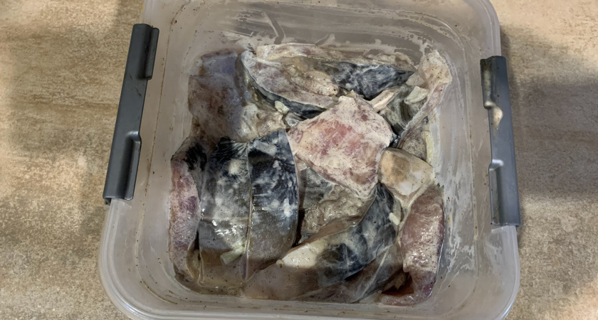 Купил сельдь, продавец сказал, что атлантическая: попробовал и понял, что тихоокеанская - как отличить и в чем разница