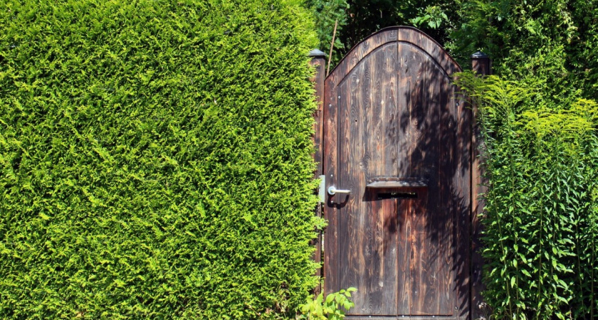 Построил себе "Жидарский" забор: участок не затеняет, продувается, и соседей не видно - гениальная разработка турок