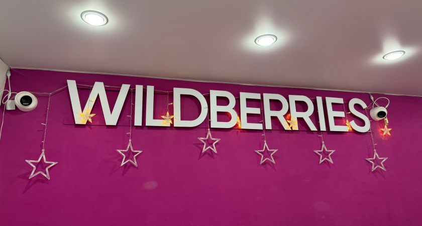 Все пишут про удачные покупки, а я расскажу про разочарования с Вайлдберриз: что больше не закажу - а к чему можно присмотреться 