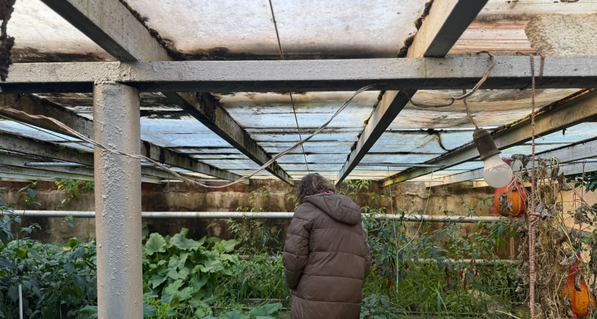 В погоне за урожаем дачники сами превращают огород в пустыню: медным купоросом дачу заливать не надо - ученые назвали сразу 4 причины