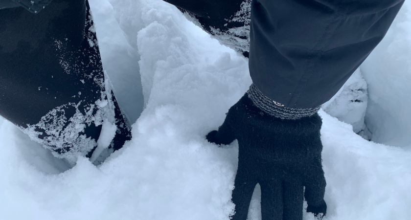 «Нельзя держать в клетке и подпускать детей». Пензячка рассказала как правильно спасать птиц