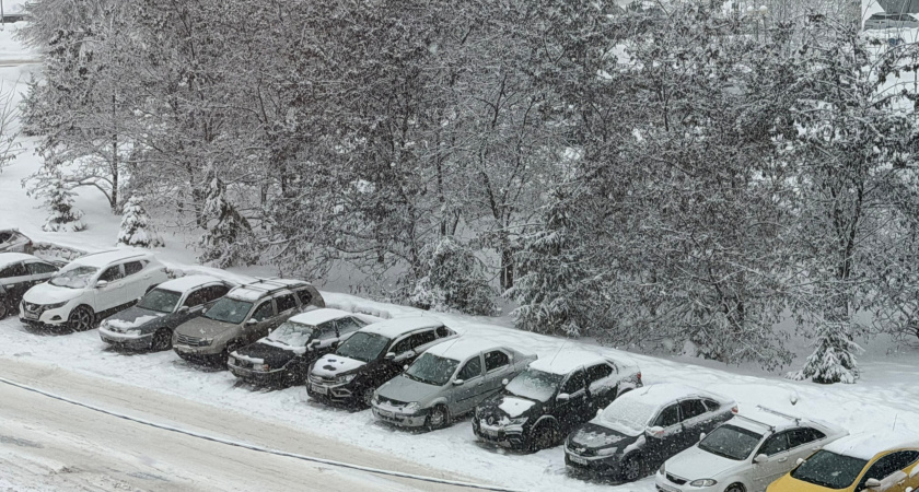 Старикам на дороге не место: новая инициатива, которая может запретить пожилым водителям садиться за руль - мой краткий обзор 