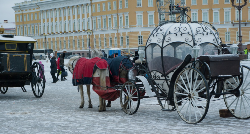 Съездили отдохнуть в Питер на 9 дней: по приезду все посчитали и обомлели - честно рассказываю, на чем можно было легко сэкономить 