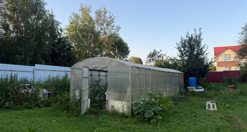 Выращиваю ранние томаты при -5 на улице без трат на отопление: грамотно сохраняю тепло в теплице - 3 деревенских способа