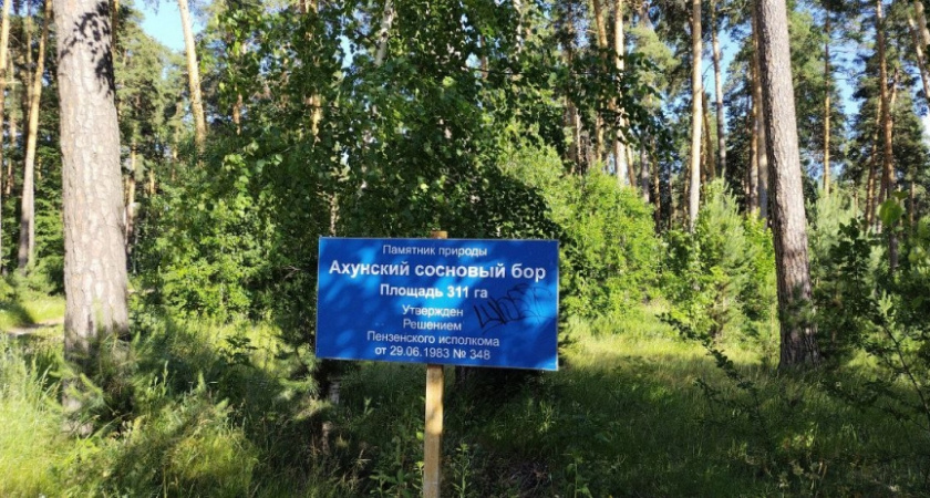 Минлесхоз пролил свет на судьбу Ахунского леса: в Пензе проходят обсуждения проекта по созданию защитной зоны