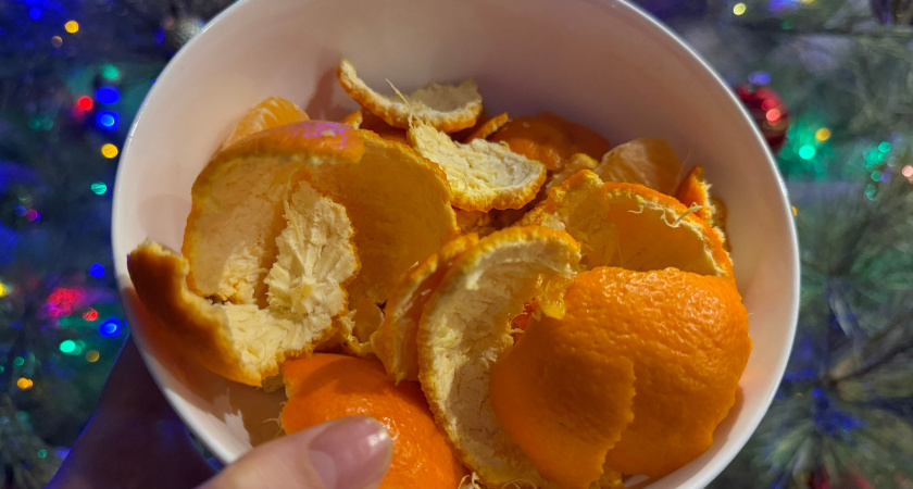 Мандариновые корки собираю к дачному сезону: полностью избавляются от морковной мухи - природный инсектицид