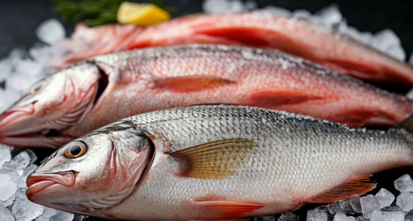 Рыба из морозилки будет как свежая: шеф раскрыл 3 секрета заморозки морепродуктов - храниться может до 10 месяцев