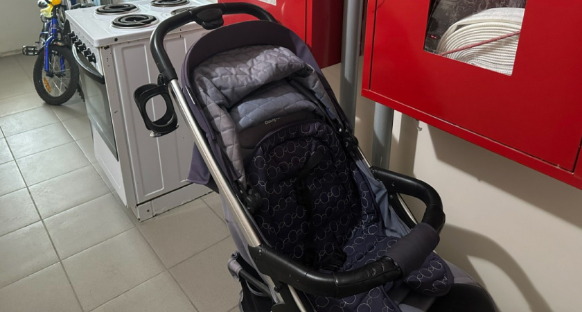 Жителям Пензенской области рассказали о расширении формата услуги «Социальная няня»