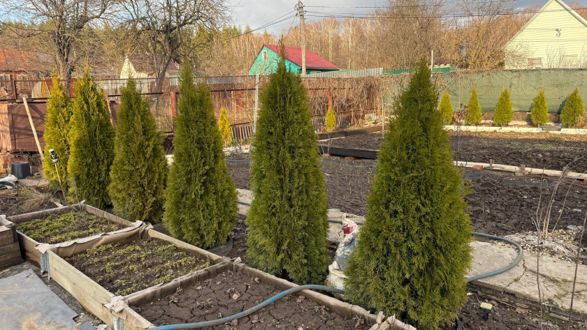 Без химии и мороки: 3 мартовские хитрости превратят заросший порослью сад из джунглей в ухоженный участок